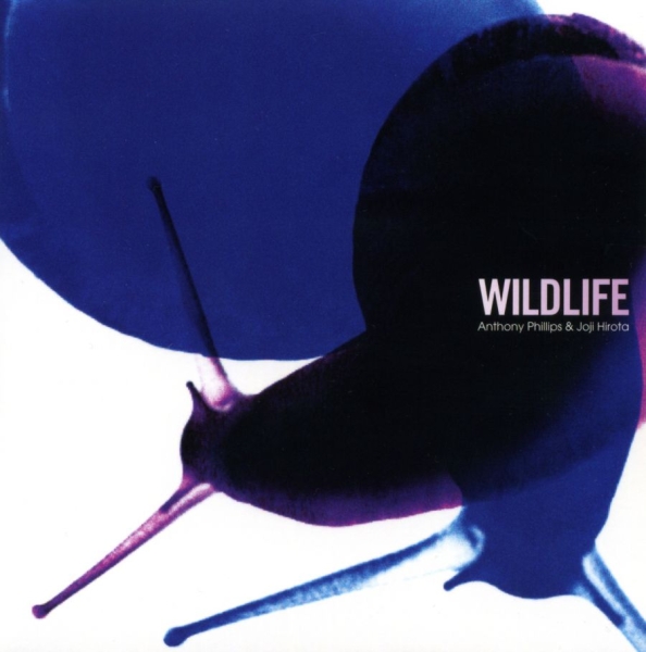 Phillips Anthony & Joji Hirota - Wildlife (Remastered And Expanded) in der Gruppe CD / Bestseller bei Bengans Skivbutik AB (4349620)