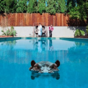 Sparks - Hippopotamus in der Gruppe CD / Pop-Rock bei Bengans Skivbutik AB (4365196)