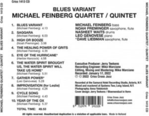 Michael Feinberg - Blues Variant in der Gruppe Övrigt /  bei Bengans Skivbutik AB (4399160)