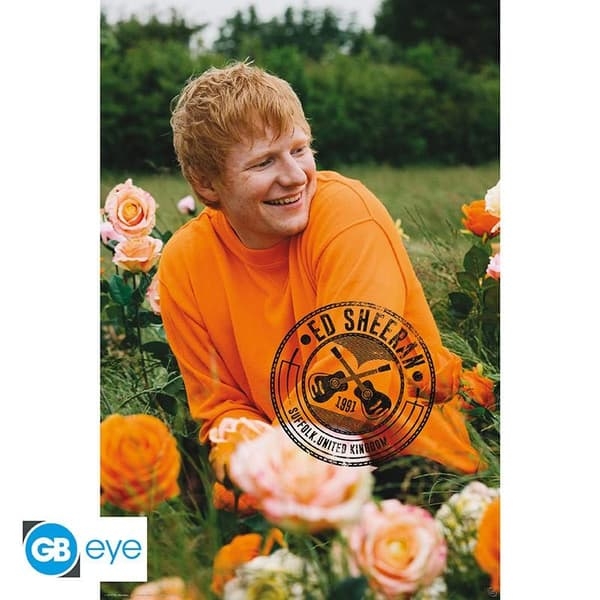 Ed Sheeran - Poster Rose Field 91,5 X 61 Cm in der Gruppe MERCHANDISE / Poster / Pop-Rock bei Bengans Skivbutik AB (4401456)