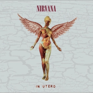 Nirvana - In Utero (2Cd Deluxe) in der Gruppe CD bei Bengans Skivbutik AB (4414306)