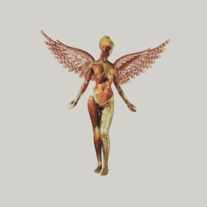 Nirvana - In Utero (Box Vinyl Super Deluxe) in der Gruppe -Start Uni-LP bei Bengans Skivbutik AB (4414506)