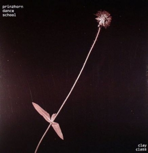 Prinzhorn Dance Scho - Clay Class - Vinyl in der Gruppe VINYL / Vinyl Elektroniskt bei Bengans Skivbutik AB (480719)