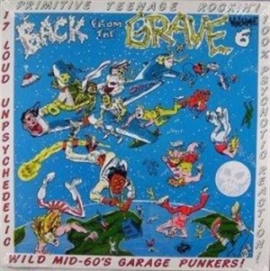 Various Artists - Vol.6 - Back From The Grave in der Gruppe VINYL / Pop-Rock bei Bengans Skivbutik AB (481278)