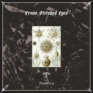 Cross Stitched Eyes - Decomposition in der Gruppe VINYL bei Bengans Skivbutik AB (481647)