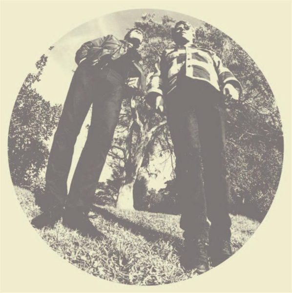 Segall Ty & White Fence - Hair in der Gruppe VINYL / Bestseller bei Bengans Skivbutik AB (482129)