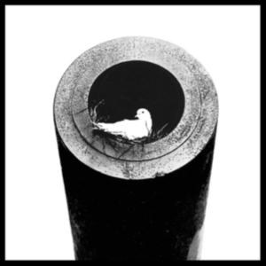 Red Doves - Off The Grid Lp in der Gruppe Labels / Gaphals / Red Doves bei Bengans Skivbutik AB (483235)