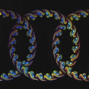Tool - Lateralus in der Gruppe VINYL / Hårdrock,Pop-Rock bei Bengans Skivbutik AB (483240)
