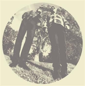 Segall Ty And White Fence - Hair in der Gruppe Rock bei Bengans Skivbutik AB (483428)