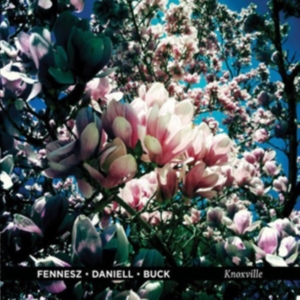 Fennesz/ Daniell/ Buck - Knoxville in der Gruppe VINYL / Pop-Rock bei Bengans Skivbutik AB (483752)