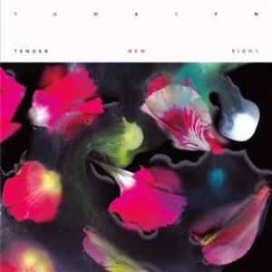 Tamaryn - Tender New Signs - Vinyl in der Gruppe VINYL / Pop bei Bengans Skivbutik AB (484707)