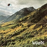 Woods - Songs Of Shame in der Gruppe VINYL / Pop-Rock bei Bengans Skivbutik AB (485165)