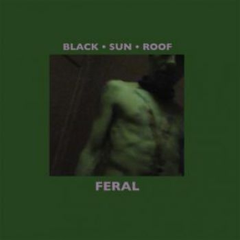 Black Sun Roof - Feral (Lp+Cd) in der Gruppe VINYL / Rock bei Bengans Skivbutik AB (485852)