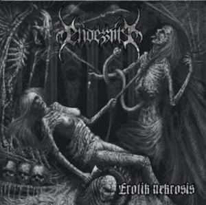 Endezzma - Erotik Nekrosis in der Gruppe VINYL / Hårdrock/ Heavy metal bei Bengans Skivbutik AB (486380)