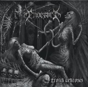 Endezzma - Erotik Nekrosis in der Gruppe VINYL / Hårdrock,Norsk Musik bei Bengans Skivbutik AB (486380)