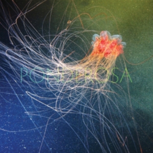 Ponderosa - Pool Party in der Gruppe VINYL / Pop-Rock bei Bengans Skivbutik AB (486651)