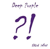 DEEP PURPLE - NOW WHAT?! in der Gruppe VINYL / Bestseller bei Bengans Skivbutik AB (487031)