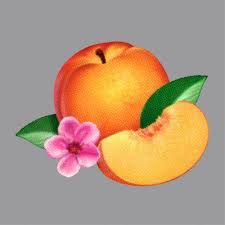 Phoenix - Bankrupt! in der Gruppe VINYL / Pop-Rock bei Bengans Skivbutik AB (487897)