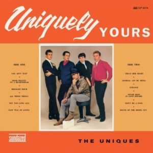 Uniques - Uniquely Yours in der Gruppe VINYL / Pop-Rock bei Bengans Skivbutik AB (490824)