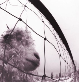 Pearl Jam - Vs. Vinyl Edition (Remastered) in der Gruppe VINYL / Pop-Rock bei Bengans Skivbutik AB (491716)