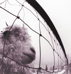 Pearl Jam - Vs. Vinyl Edition (Remastered) in der Gruppe VINYL / Pop-Rock bei Bengans Skivbutik AB (491716)