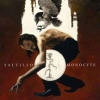 Saltillo - Monocyte: The Lapis Coil in der Gruppe VINYL / Pop-Rock bei Bengans Skivbutik AB (493128)