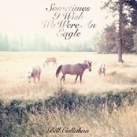 Callahan Bill - Sometimes I Wish We Were An Eagle in der Gruppe VINYL bei Bengans Skivbutik AB (493161)