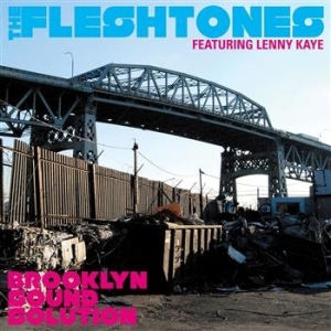Fleshtones - Brooklyn Sound Solution in der Gruppe UNSERE TIPPS / Klassiska lablar / YepRoc / Vinyl bei Bengans Skivbutik AB (493751)