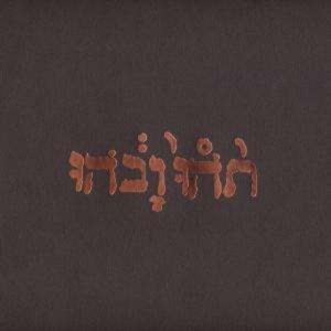 Godspeed You! Black Emperor - Slow Riot For A New Zero Kanada in der Gruppe Minishops / Godspeed You bei Bengans Skivbutik AB (493872)