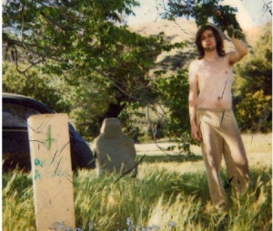 Ariel Pink's Haunted Grafitti - Doldrums in der Gruppe VINYL / Pop bei Bengans Skivbutik AB (493927)