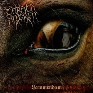 Carach Angren - Lammendam (2 Vinyl Lp) in der Gruppe VINYL / Hårdrock/ Heavy metal bei Bengans Skivbutik AB (494016)