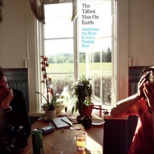 Tallest Man On Earth - Sometimes The Blues Is Just A Passi in der Gruppe VINYL / Pop-Rock bei Bengans Skivbutik AB (494290)