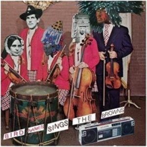 Bird Names - Sing The Browns in der Gruppe VINYL / Pop bei Bengans Skivbutik AB (495287)
