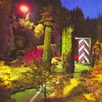 Sic Alps - Battery Townsley in der Gruppe VINYL / Pop-Rock bei Bengans Skivbutik AB (496403)