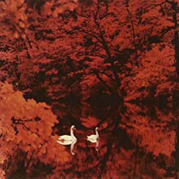 Red Favorite - Red Favorite in der Gruppe VINYL / Pop bei Bengans Skivbutik AB (496612)