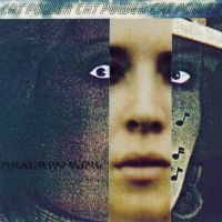 Cat Power - What Would The Community Think? in der Gruppe VINYL / Pop-Rock bei Bengans Skivbutik AB (497606)