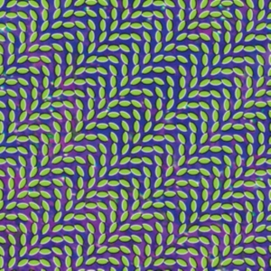 Animal Collective - Merriweather Post Pavillion in der Gruppe VINYL / Pop-Rock bei Bengans Skivbutik AB (497830)