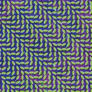 Animal Collective - Merriweather Post Pavillion in der Gruppe VINYL / Pop-Rock bei Bengans Skivbutik AB (497830)
