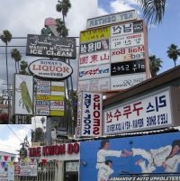 Friedberger Matthew - Cut It Out in der Gruppe VINYL / Pop-Rock bei Bengans Skivbutik AB (498315)