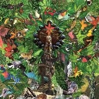 Plankton Wat - Drifter's Temple in der Gruppe VINYL / Pop-Rock bei Bengans Skivbutik AB (499649)