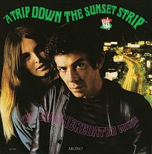 Leathercoated Minds - A Trip Down The Sunset Strip in der Gruppe UNSERE TIPPS / Klassiska lablar / Sundazed / Sundazed Vinyl bei Bengans Skivbutik AB (500098)