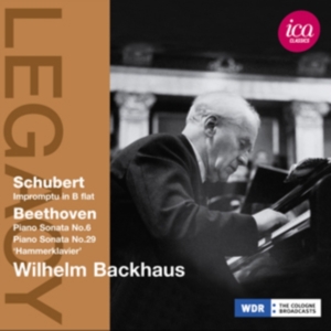 Schubert / Beethoven - Piano Works in der Gruppe Externt_Lager / Naxoslager bei Bengans Skivbutik AB (500881)
