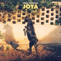 Bonnie 'Prince' Billy - Joya in der Gruppe UNSERE TIPPS / Way Out West 2026 bei Bengans Skivbutik AB (502965)