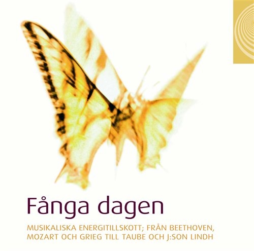 Various - Fånga Dagen in der Gruppe Externt_Lager / Naxoslager bei Bengans Skivbutik AB (504410)