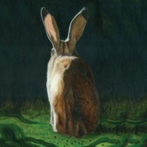 Tucker Alexander - Third Mouth in der Gruppe CD / Pop-Rock bei Bengans Skivbutik AB (505039)