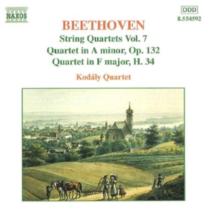 Beethoven Ludwig Van - String Quartets Vol 7 in der Gruppe Externt_Lager / Naxoslager bei Bengans Skivbutik AB (505493)