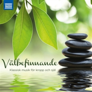 Various - Välbefinnande - Klassisk Musik För in der Gruppe cdonuppdat / CDON Jazz klassiskt NX bei Bengans Skivbutik AB (505578)