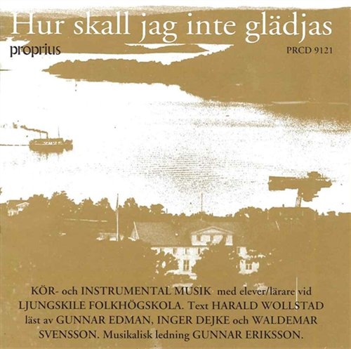 Various - Hur Skall Jag Inte Glädja in der Gruppe Externt_Lager / Naxoslager bei Bengans Skivbutik AB (505744)