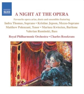 Various - A Night At The Opera in der Gruppe Externt_Lager / Naxoslager bei Bengans Skivbutik AB (506535)