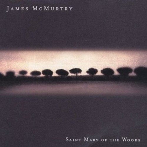 James McMurtry - Saint Mary Of The Woods in der Gruppe CD / Rock bei Bengans Skivbutik AB (506751)